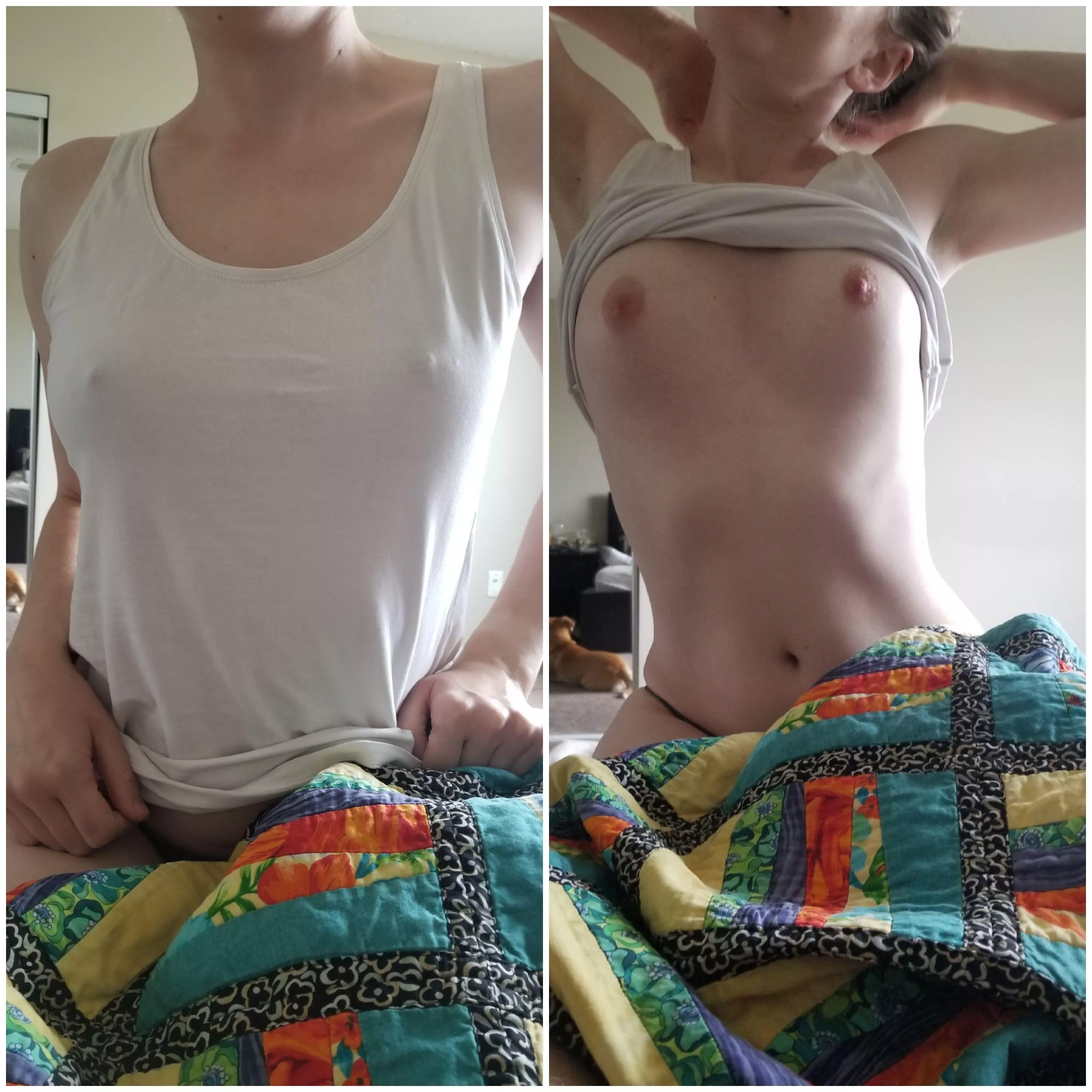 love her perky tits love her perky tits