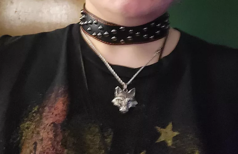 love my collar. Love my Alpha more πππππππ