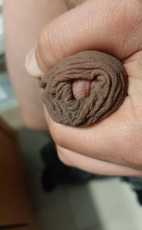 Love my foreskin , does anyone else?