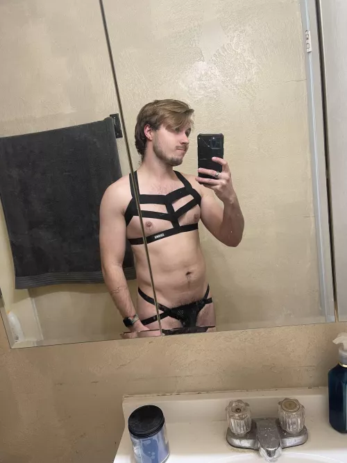 Love my new harness