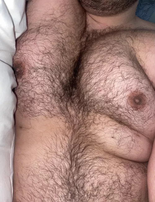 Hairy Chest Fetish