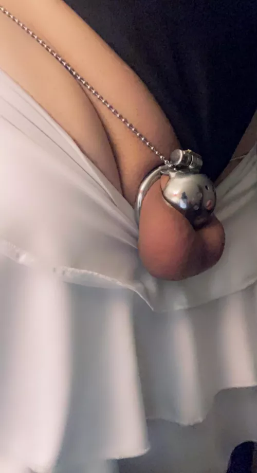 🦋Love this Cage🦋