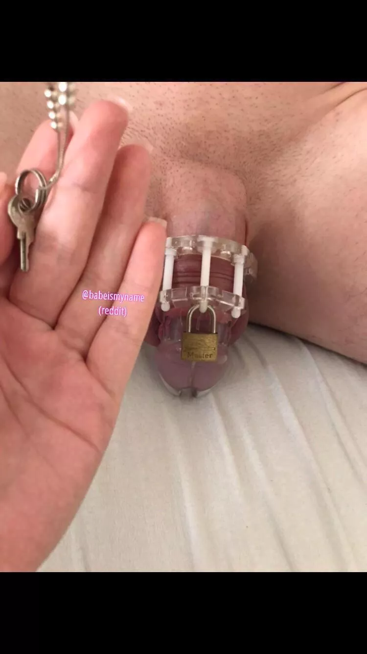 Love to lock my boyfriend up (f20)