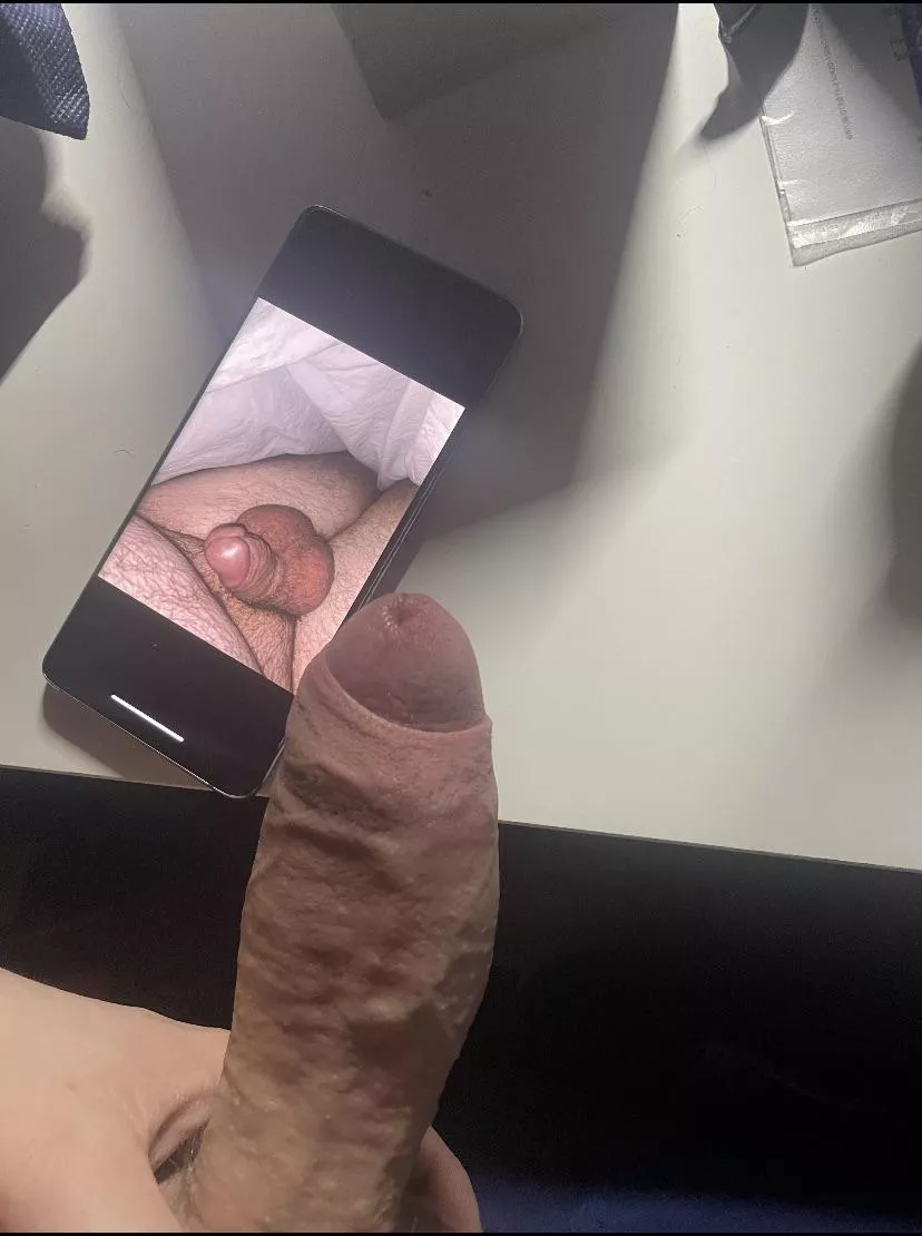 Love when guys compare there cocks to my tiny clit. Do it and send it to me.