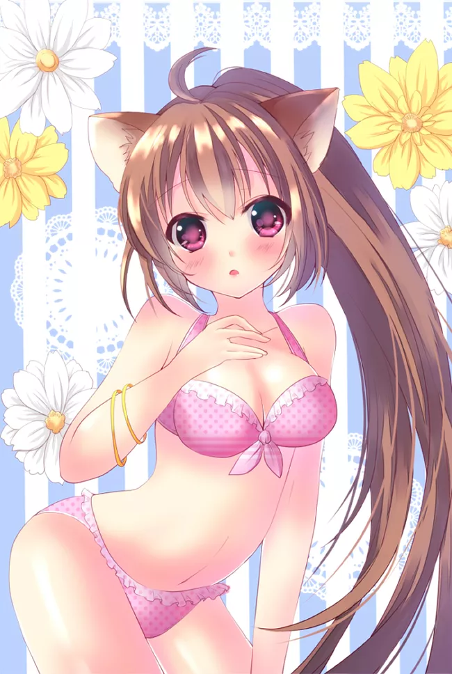 Lovely Neko. Lovely Neko.