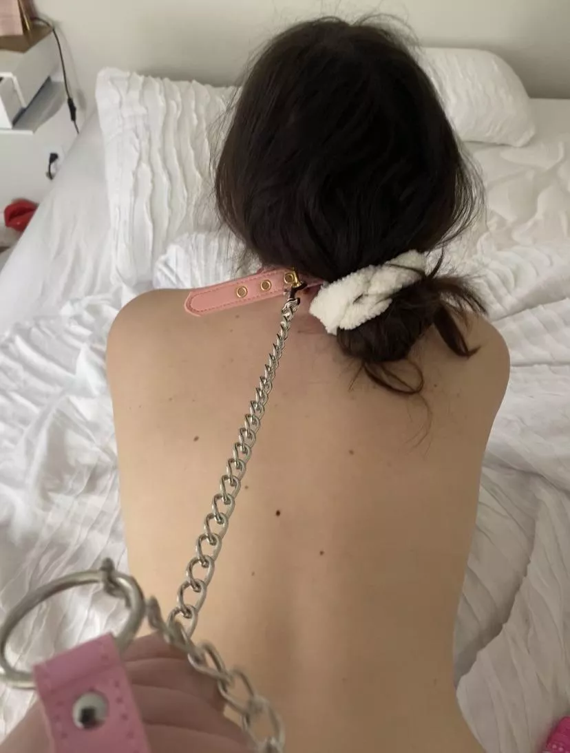 Loves getting her leash yanked. Loves getting her leash yanked.