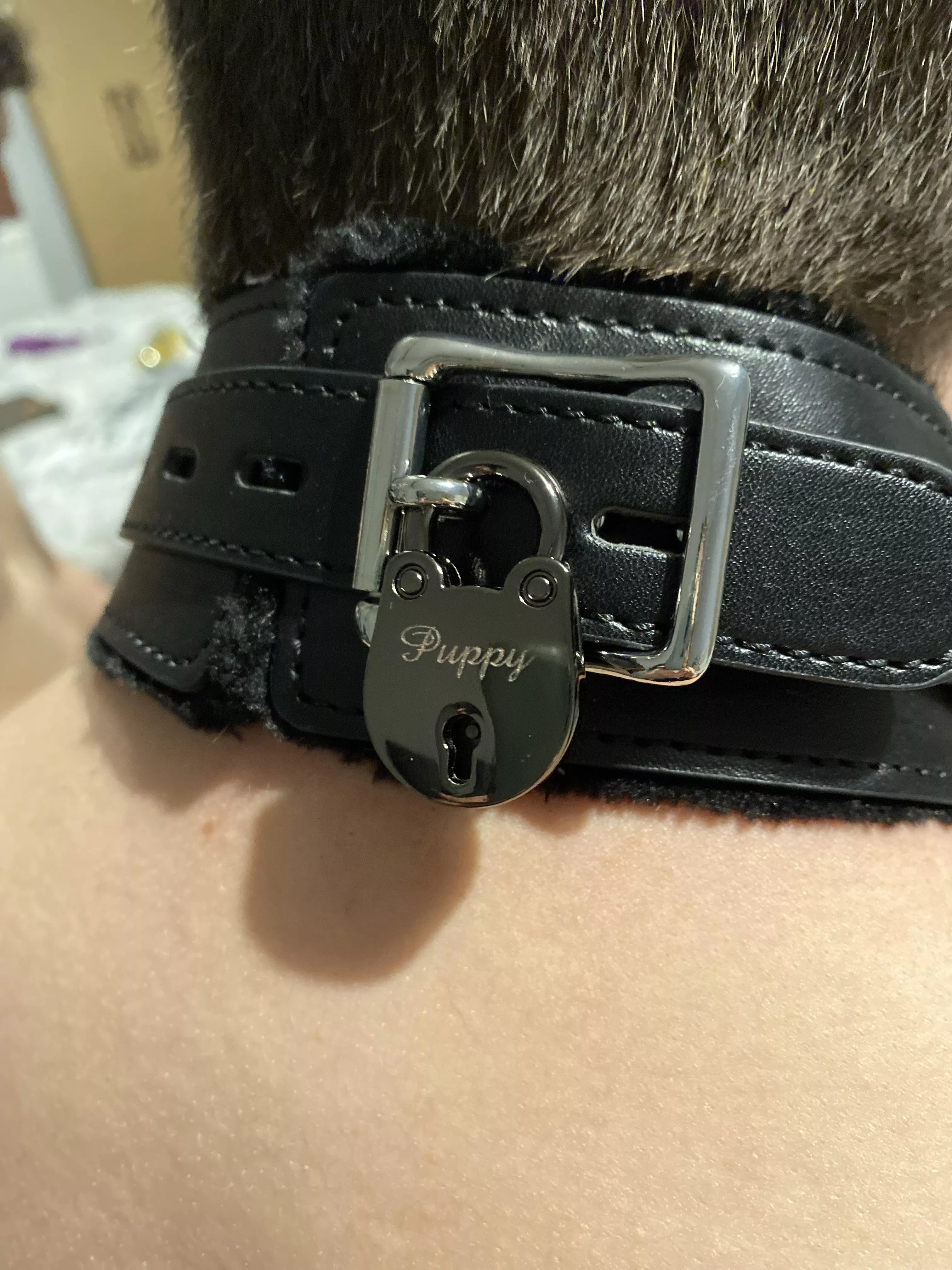 Loving my new collar and padlock from my Dutchess