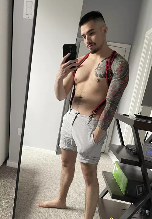 Loving my new harness Loving my new harness