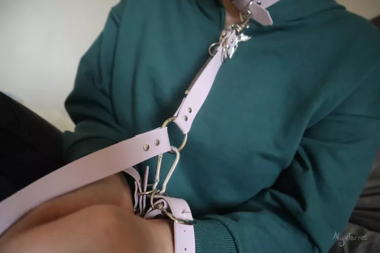 Loving my new leash (❤ω❤)