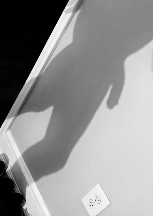 Lurking In The Shadows š