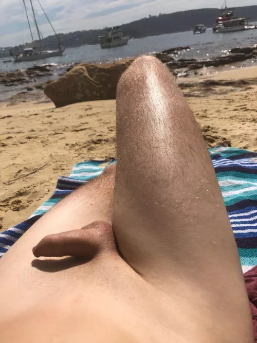 (M) 28