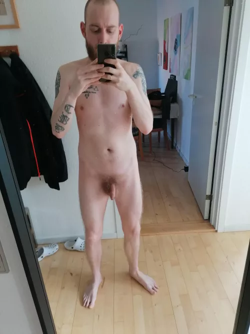M 31
