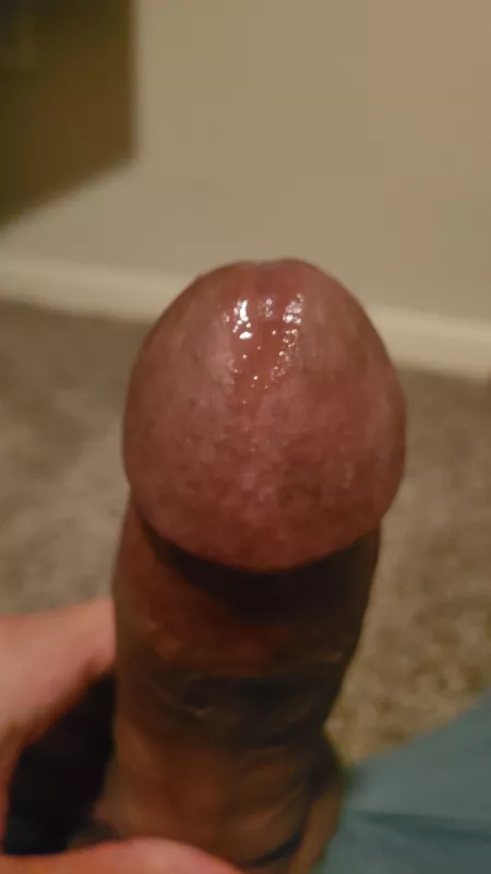 (m) anyone willing to lick it off (m) anyone willing to lick it off