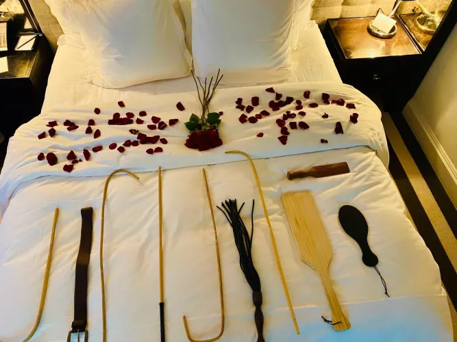 [m] Happy Valentine’s Day 🦯 🏏 ❤️