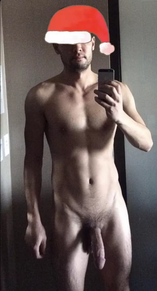 [M] Merry Christmas reddit - here's your present