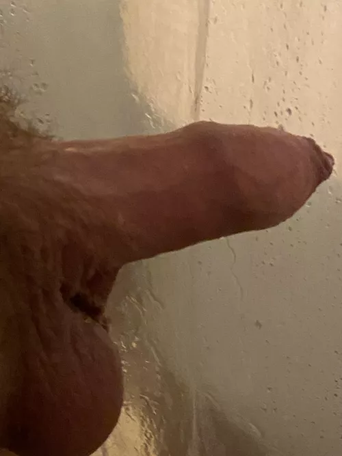 (M) Short & Thick