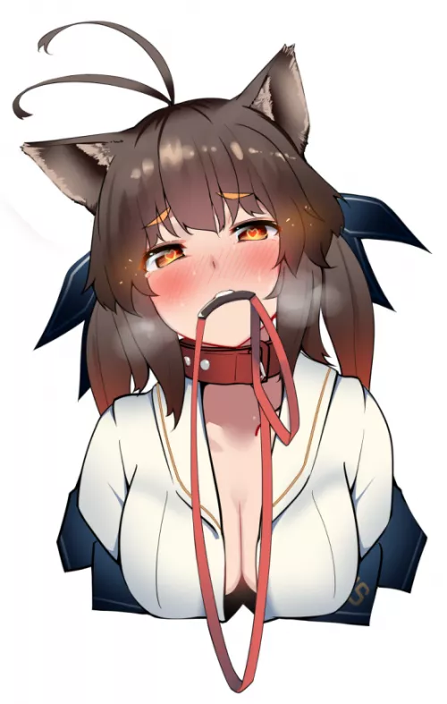 M14 Woof!~