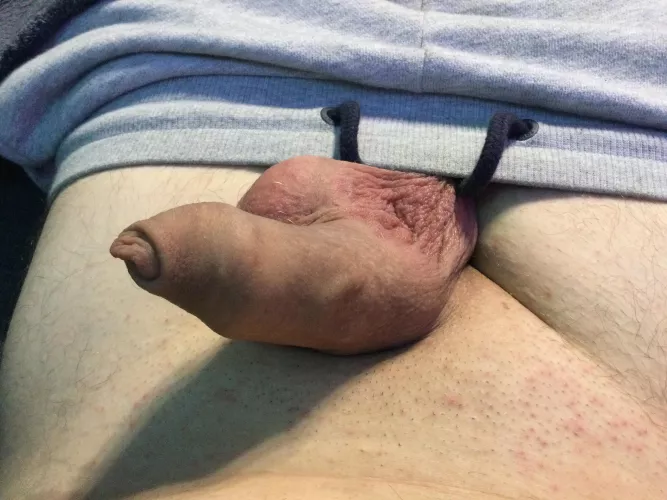 M19 shaved today