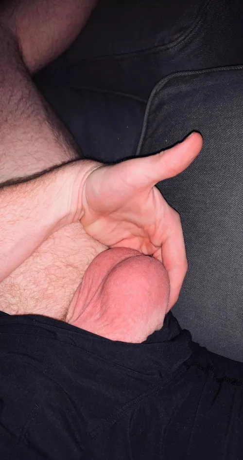 M20. These belong here? M20. These belong here?