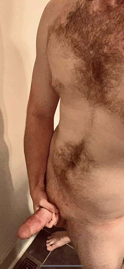 (M20) Who likes a younger alpha?