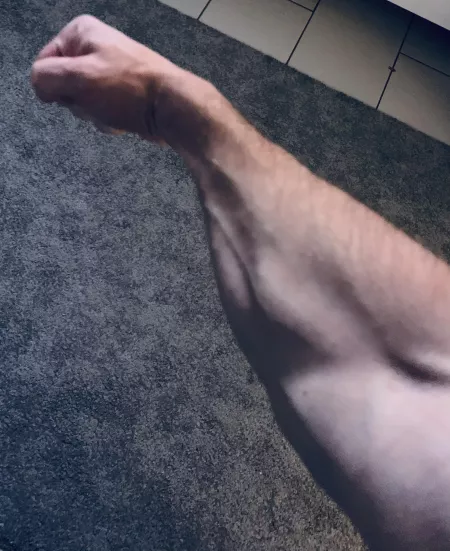 M38 M38