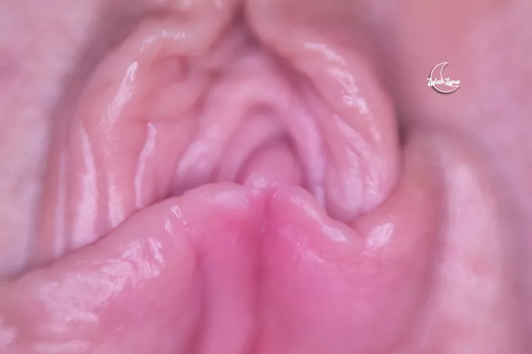 Macro closeup! πΈ