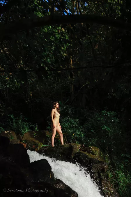 Made it to the top of the waterfall