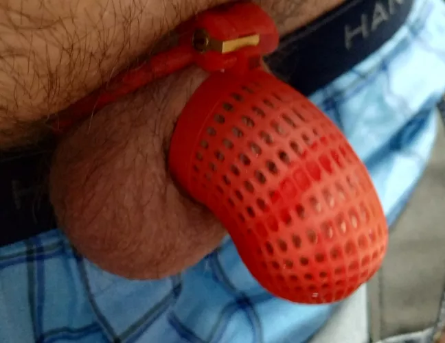 Made my own cage. I call it the