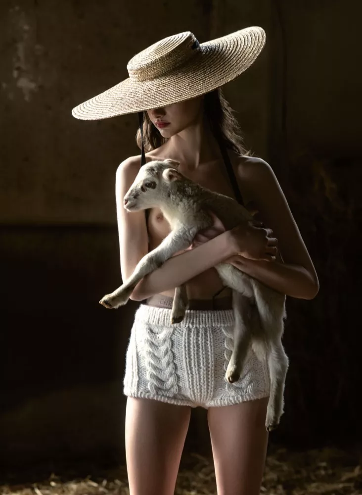 mag ziajor mag ziajor