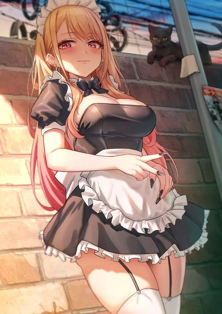 Maid Marin