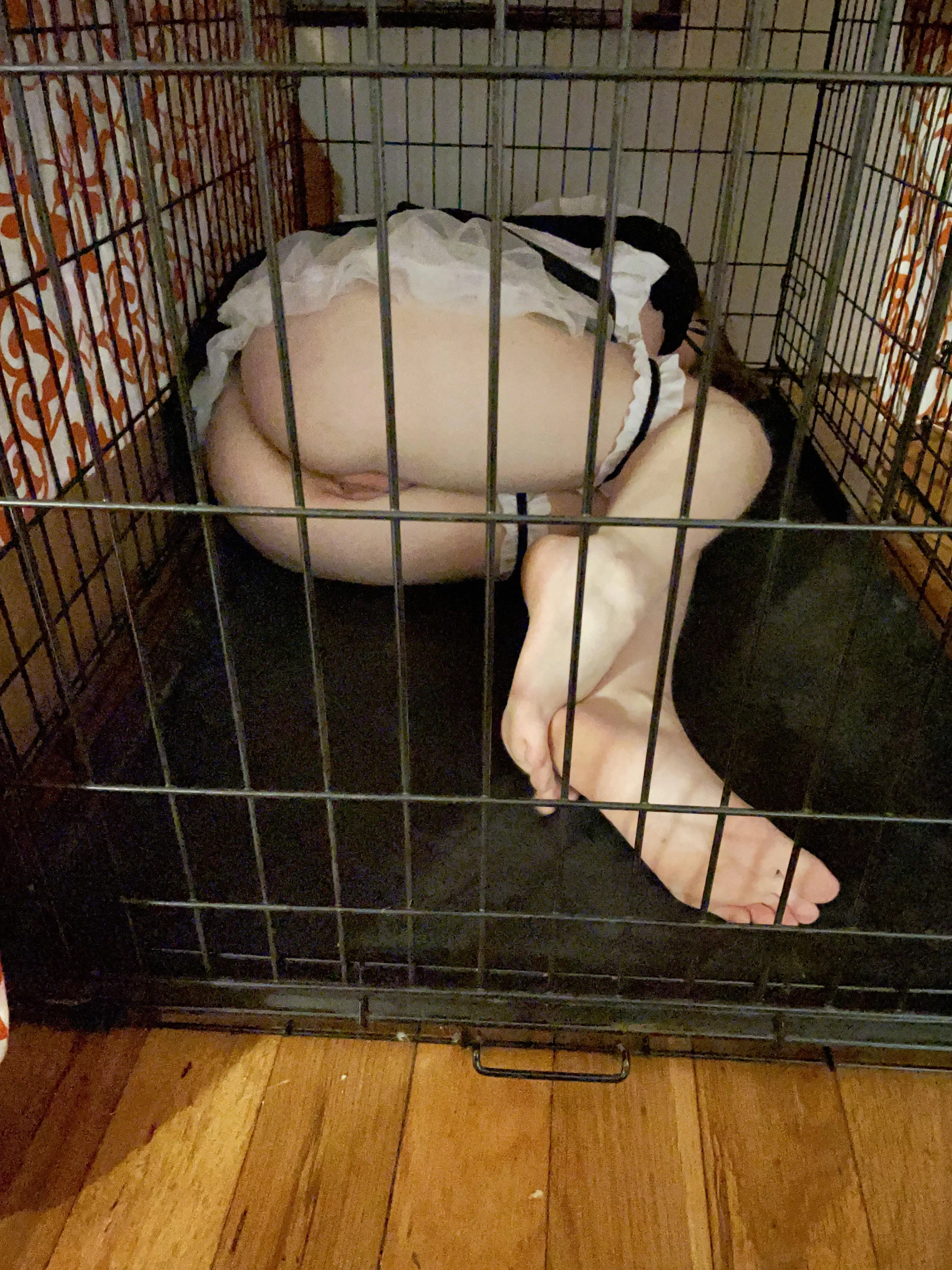 Maid service, caging, orgasm denial : a hodgepodge [f]antasy