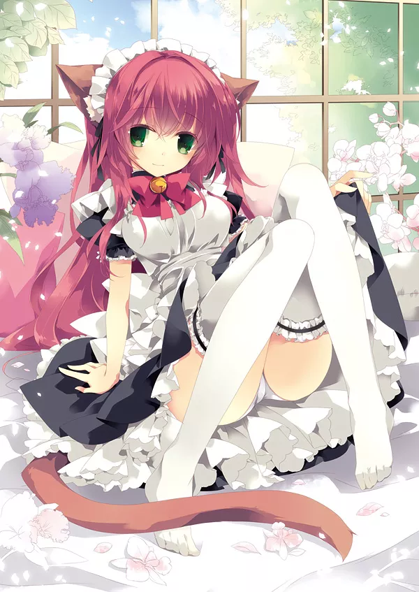 Maido Maido