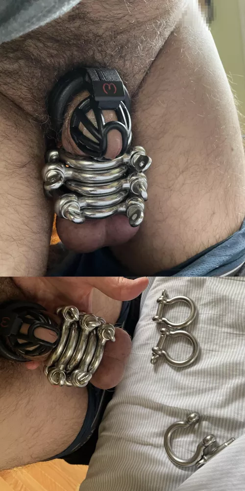 Managed to get 5 shackles installed for MsDBG8422. Hoping to get all 8 on for her, with time and practice. She loves to see me struggle and suffer. π