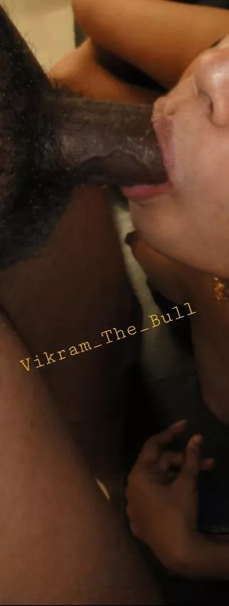 Mandarory blow jobs during encounters. Bull session for a matured South Indian cuck's wife. Mandarory blow jobs during encounters. Bull session for a matured South Indian cuck's wife.