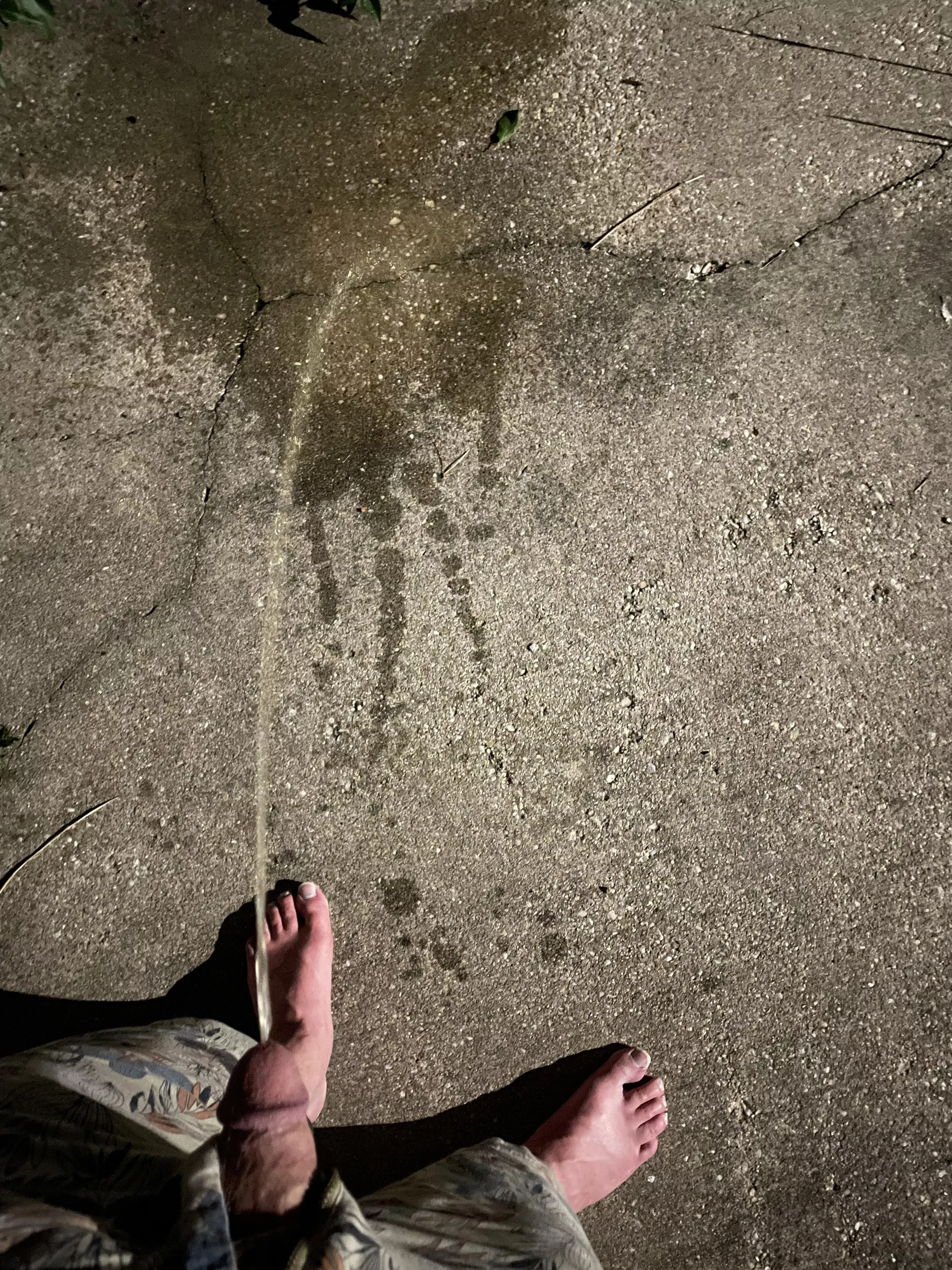 Marking my back patio in case the neighbors get any bold ideas… Marking my back patio in case the neighbors get any bold ideas…