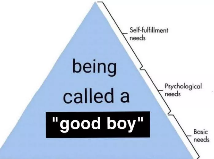 Maslows Hierarchy Of Needs Maslows Hierarchy Of Needs First Year Porn The Best Porn Website