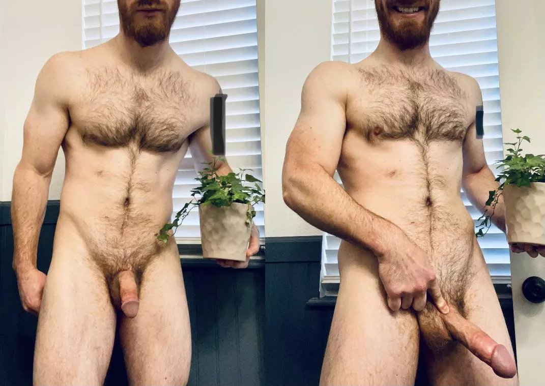 Massive growers allowed here? Iโm new. Massive growers allowed here? Iโm new.