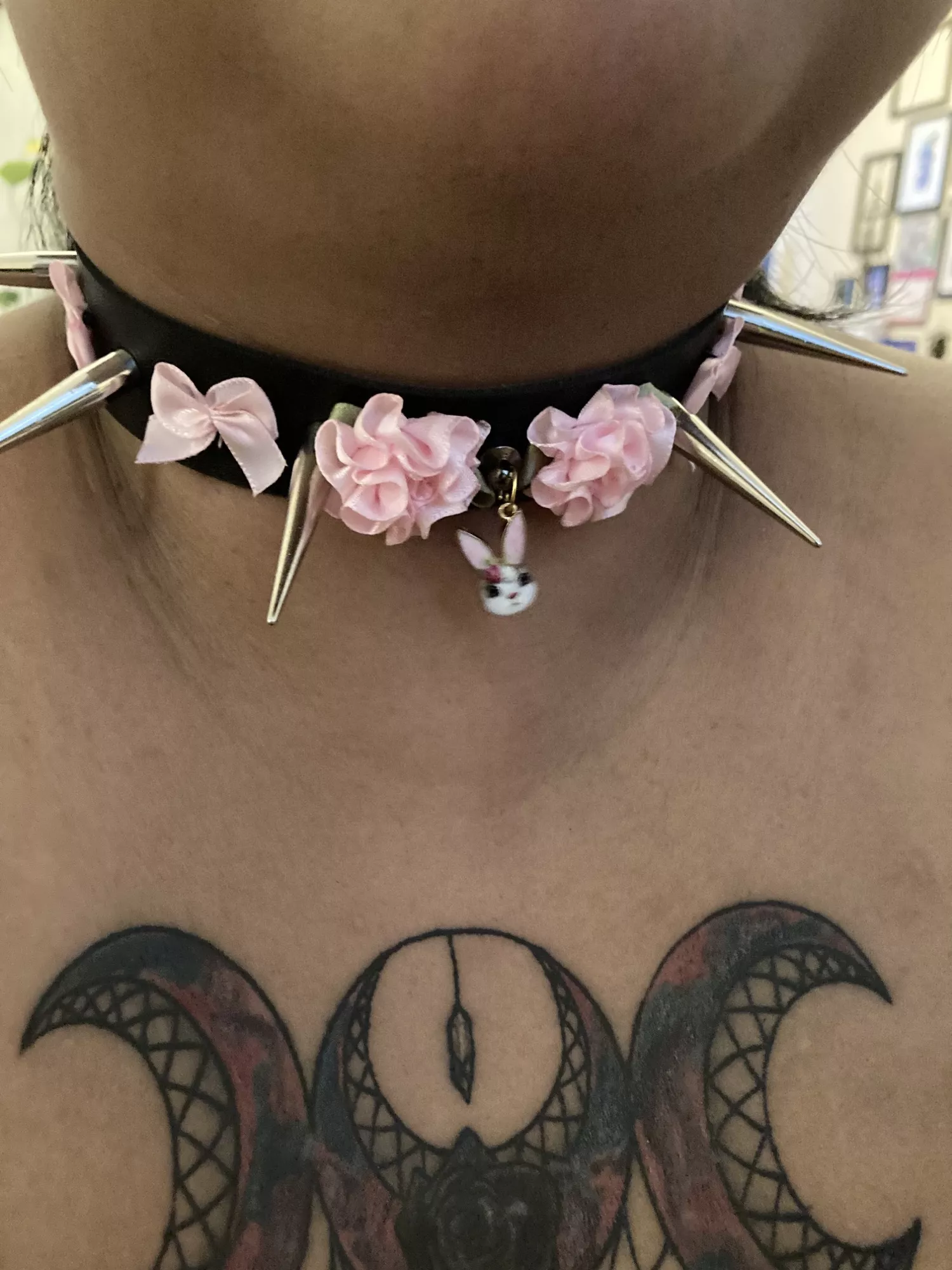 Master bought me a cute new collar! Master bought me a cute new collar!