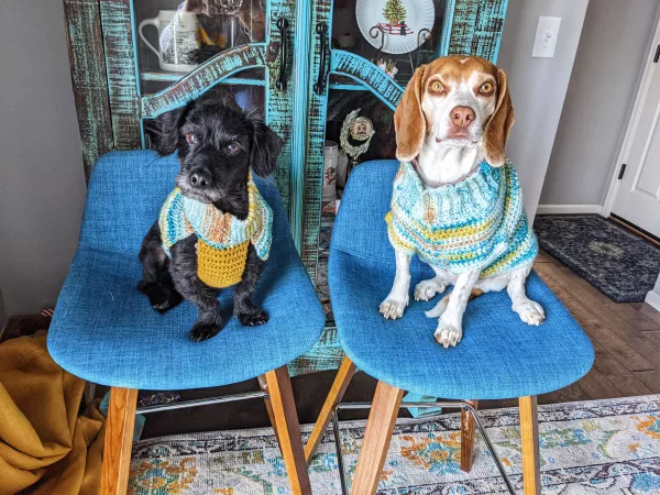 matching sweaters ❤️