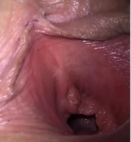 May pussy say hello May pussy say hello