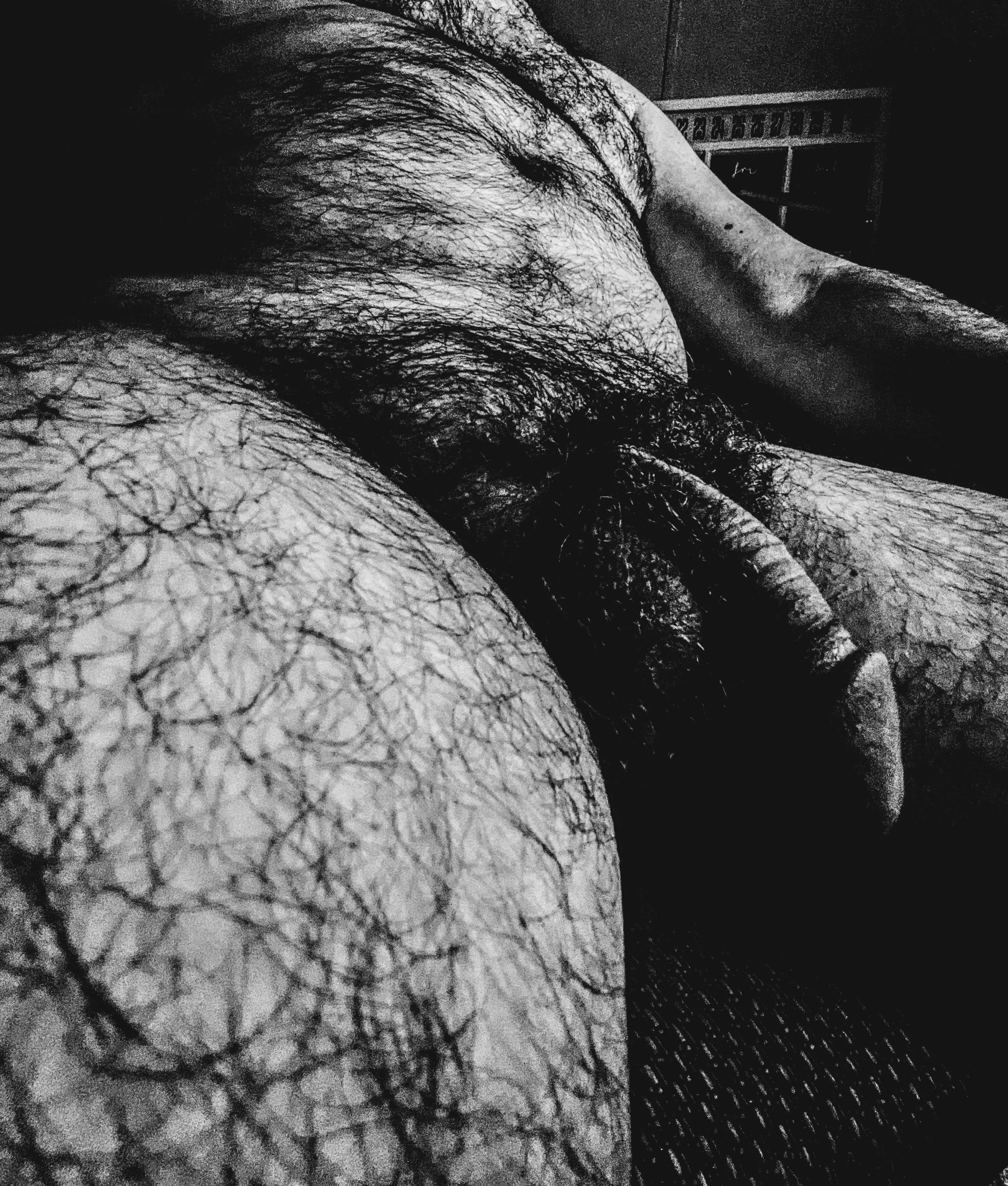 Maybe I should just not go to work today and hang out around home Maybe I should just not go to work today and hang out around home