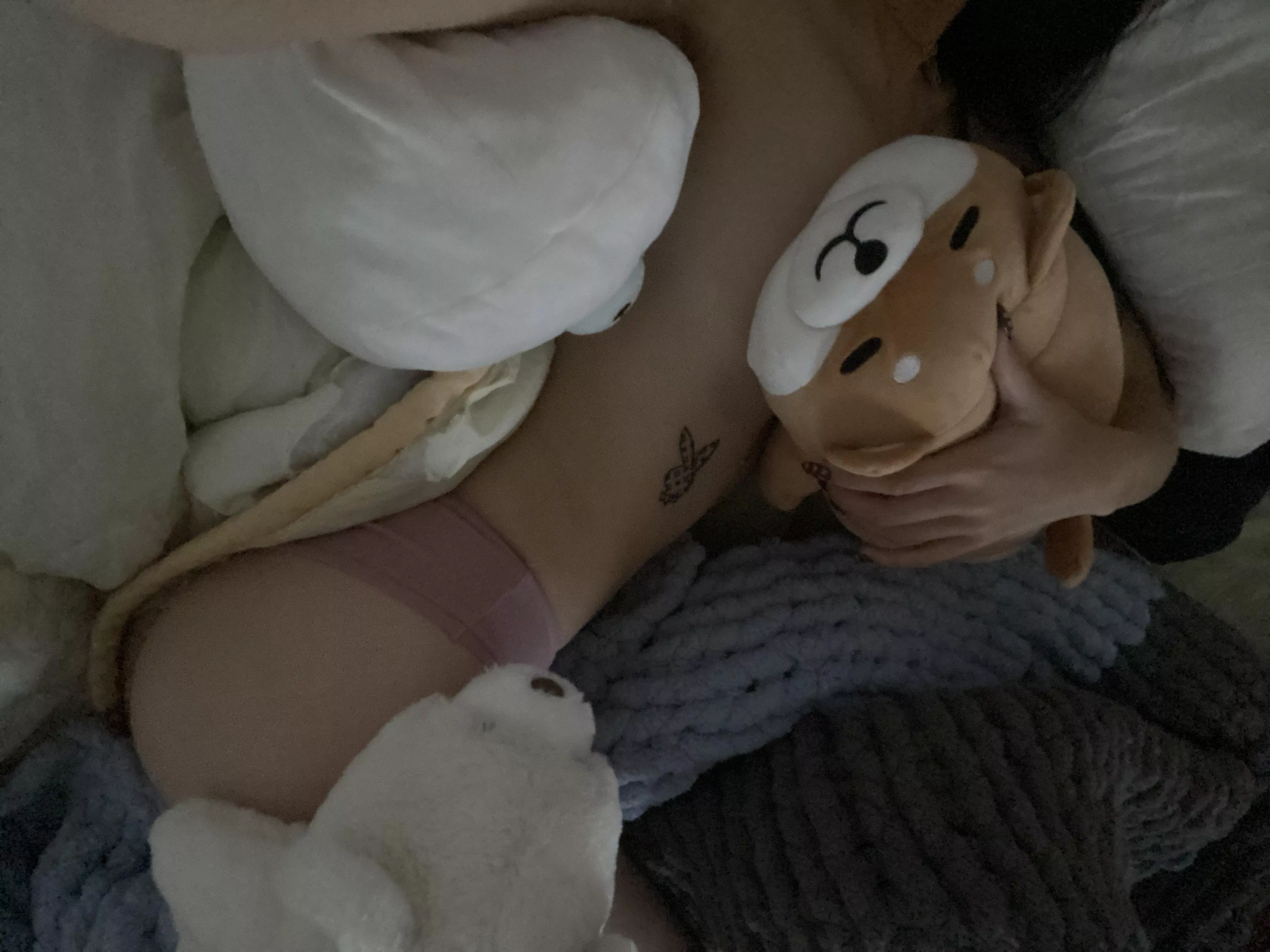 Me and my plushie friends <3 Me and my plushie friends <3