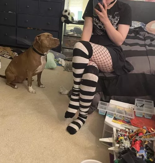 Me N a good boy Me N a good boy