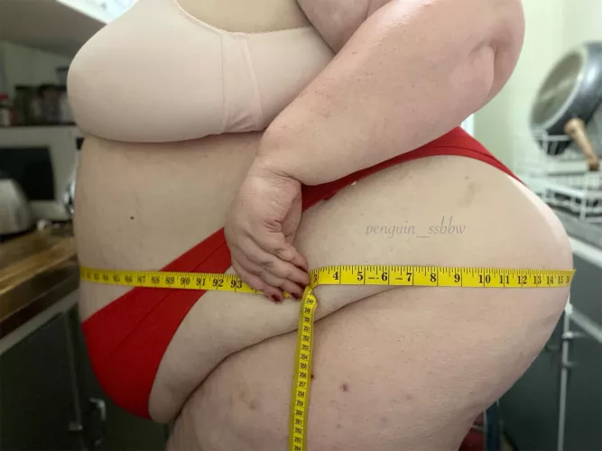 Measuring all the way around…94.5”/240cm