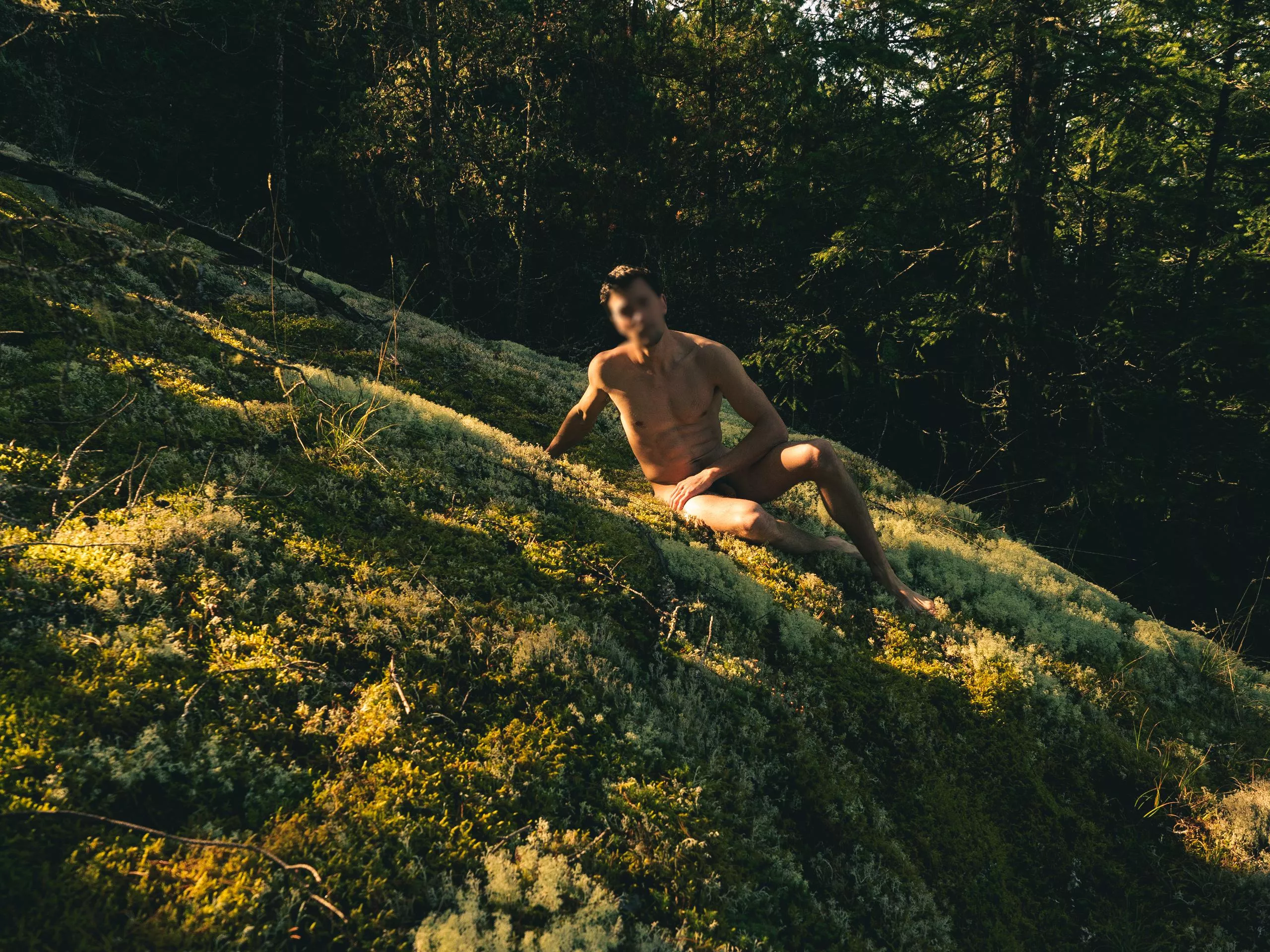 Meet me in the woods tonight 🎶 Meet me in the woods tonight 🎶