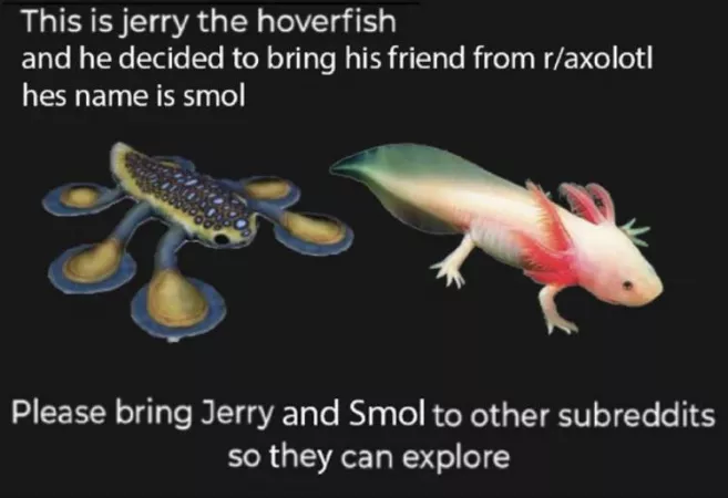 Meh