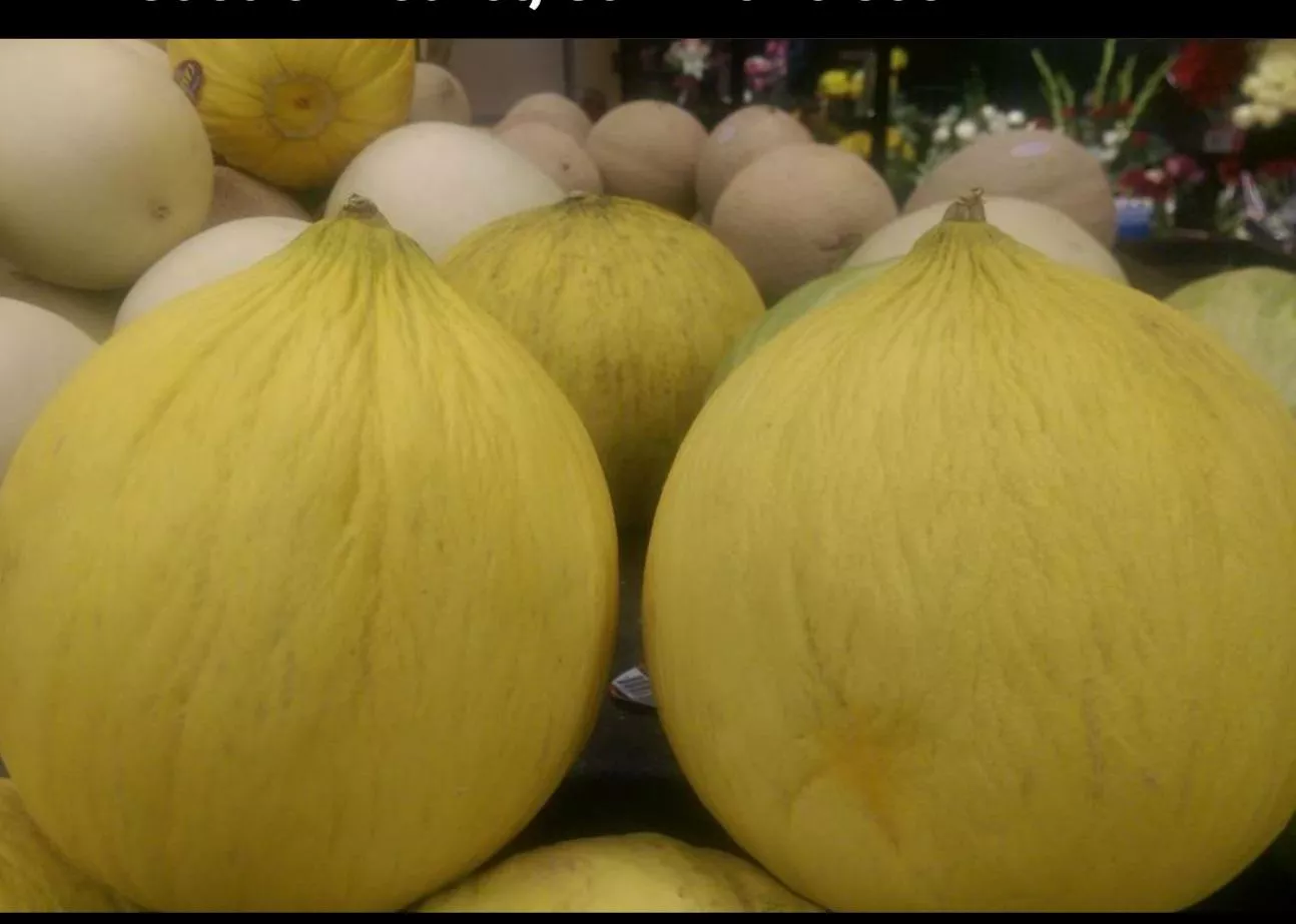 Melons, anyone? Melons, anyone?
