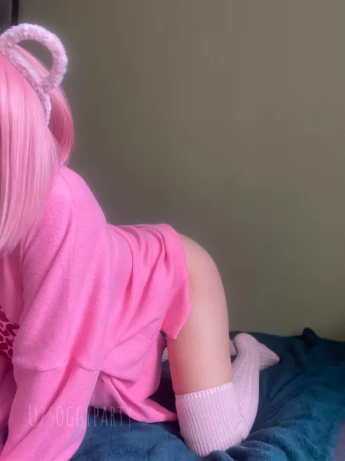 Meow 🌸 Meow 🌸