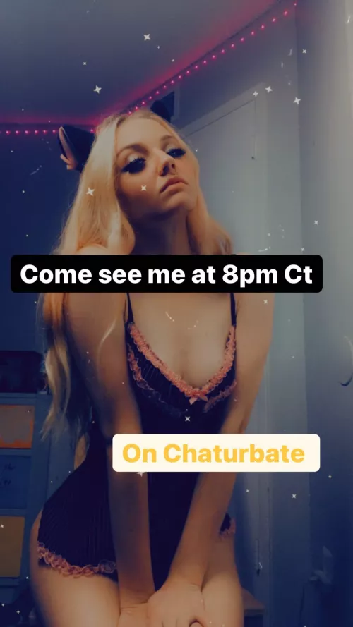 Meow! Come see me! ???