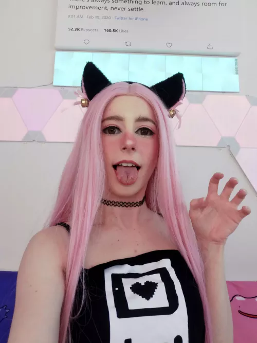 meow πβ¨